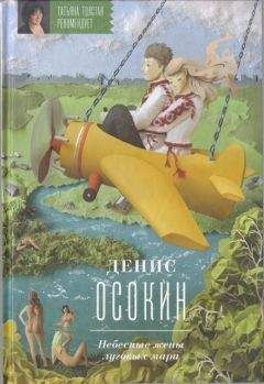 Денис Осокин - Ангелы и революция