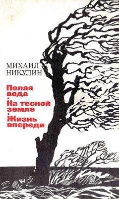 Михаил Ильин - Ради жизни на земле-86 (сборник)