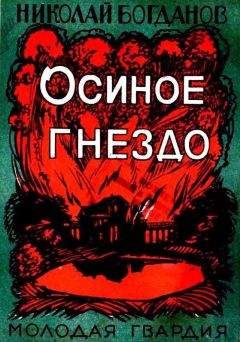 Николай Никонов - Орнитоптера Ротшильда