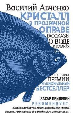 Василий Авченко - Кристалл в прозрачной оправе. Рассказы о воде и камнях