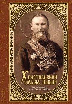 Иоанн Кронштадтский - Дневник. Том III. 1860-1861. Созерцательное богословие. Крупицы от трапезы Господней