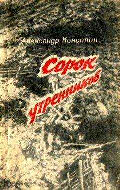 Александр Попов - Выстрел с Невы: рассказы о Великом Октябре