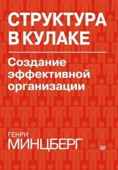Бет Симон Новек - Умные граждане – умное государство