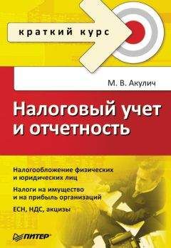 Василий Радачинский - Бухгалтерский учет в некоммерческих организациях