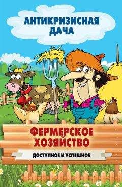 Сергей Кашин - Самая нужная садовая техника. Эффективность без лишних затрат