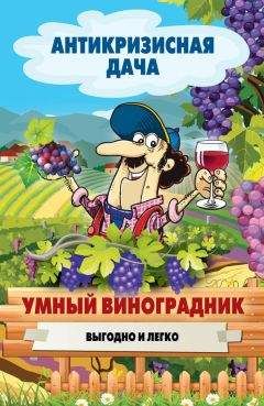 Татьяна Литвинова - Как вырастить виноград в Подмосковье и средней полосе России