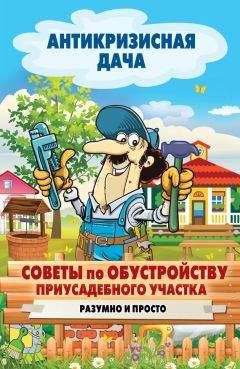 Анастасия Красичкова - Золотая книга приусадебного участка