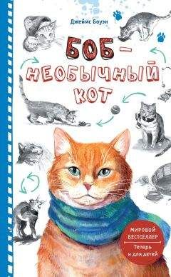 Джеймс Боуэн - Подарок от кота Боба. Как уличный кот помог человеку полюбить Рождество