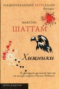 Максим Шаттам - Кровь времени