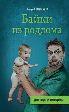 Андрей Шляхов - Скорая помощь. Обычные ужасы и необычная жизнь доктора Данилова