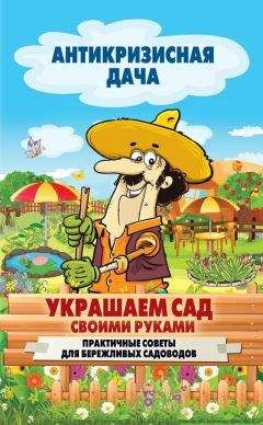 Сергей Кашин - Украшаем сад своими руками. Практичные советы для бережливых садоводов