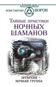 Арина Веста - Амальгама власти, или Откровения анти-Мессинга