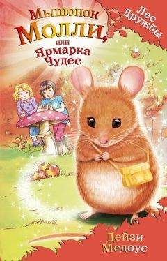 Дейзи Медоус - Мышонок Молли, или Ярмарка Чудес