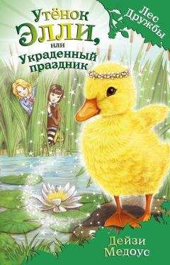 Дейзи Медоус - Мышонок Молли, или Ярмарка Чудес