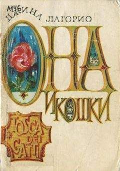 Джордже Кэлинеску - Загадка Отилии