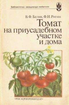 Изабелла Овсянникова - В Сибири - всегда с овощами