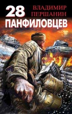 Владимир Першанин - «Зверобои» против «Тигров». Самоходки, огонь!