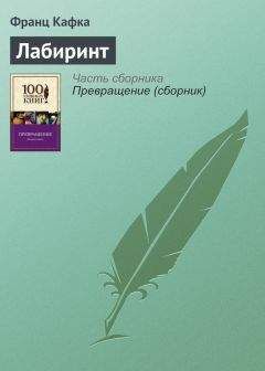 Дмитрий Володихин - Ворон и небесные кавалеры