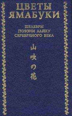 Рюрик Рок - Поэзия Серебряного века (Сборник)