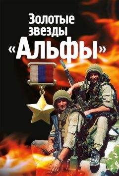 Андрей Богданов - Опальные воеводы