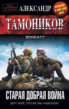 Александр Тамоников - Генеральная зачистка