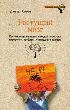 Владимир Леви - Доктор Мозг. Записки бредпринимателя