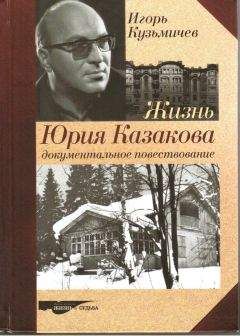 Владимир Князев - Жизнь за всех и смерть за всех