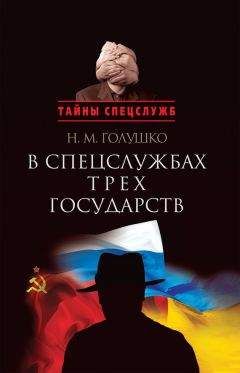 Федор Фомин - Записки старого чекиста