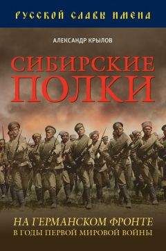 Алексей Шишов - Персидский фронт (1909) Незаслуженно забытые победы