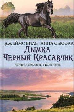 Виктор Тюрин - Человек человеку волк или Покорение Америки