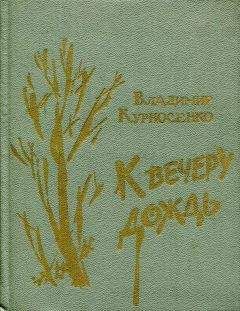 Владимир Личутин - Белая горница (сборник)