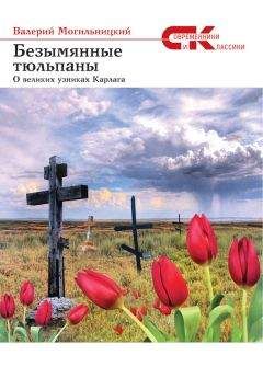 Павел Мальков - Записки коменданта Кремля