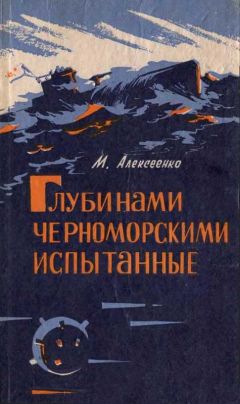 Василий Мурзинцев - Записки военного советника в Египте