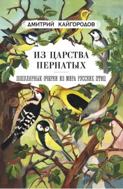 Михаил Серяков - Культ солнца у древних славян