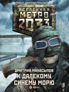 Дмитрий Манасыпов - Метро 2035. За ледяными облаками