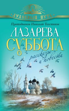 Николай Лесков - Леди Макбет Мценского уезда (сборник)