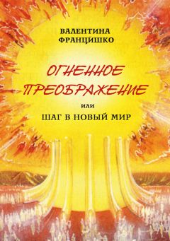 Карл В. Эрнст - Следуя за Мухаммадом. Переосмысливая ислам в современном мире