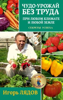 Галина Кизима - Крепкая рассада – богатый урожай. Все секреты опытного огородника
