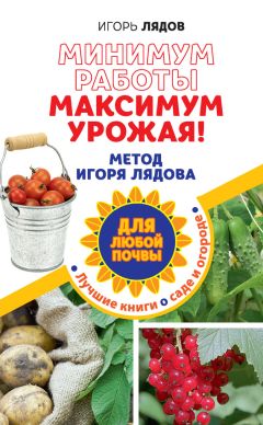 Николай Курдюмов - Огородные секреты большого урожая на ваших грядках