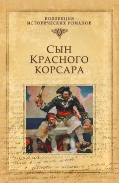 Виктория Дьячкова - Капитан «Чёрного коршуна». На волнах удачи