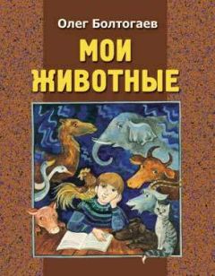 Олег Болтогаев - Настя, Наталья и Михаил