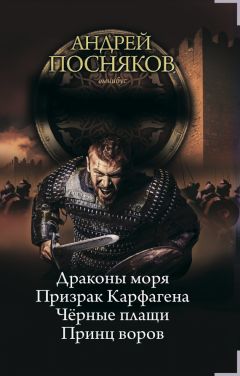 Андрей Посняков - Принц воров