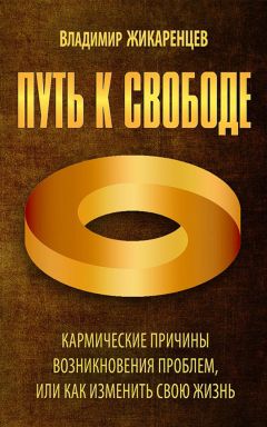 Владимир Жикаренцев - Путь к свободе. Кармические причины возникновения проблем, или Как изменить свою жизнь