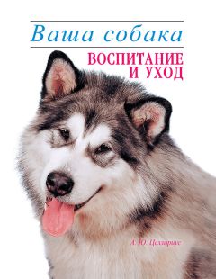 Алексей Целлариус - Ваша собака. Воспитание и уход
