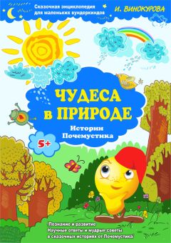 Ирина Фабер - Динг – Компьютерный Вирус. Основы программирования для самых маленьких