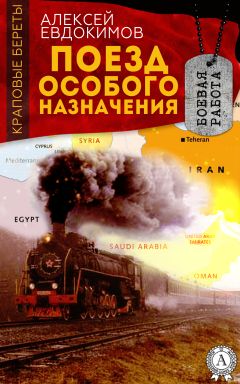 Николай Стариков - Офицер особого назначения