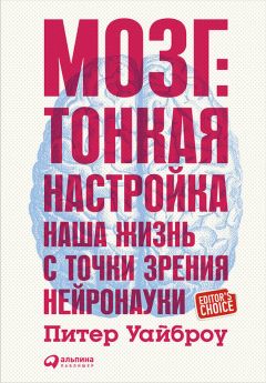 Александр Никонов - Апгрейд обезьяны. Большая история маленькой сингулярности