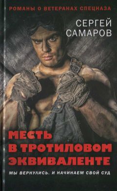  Книга Эдеф - Бриллиантовое солнце