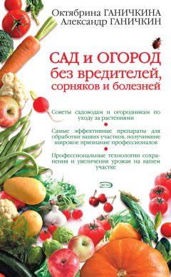 С. Калюжный - Болезни и вредители сада и огорода. Все секреты успешной защиты урожая