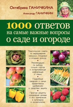 Игорь Васильев - Наши поля и огороды. Как на Кубани гармонично развивать сельское хозяйство